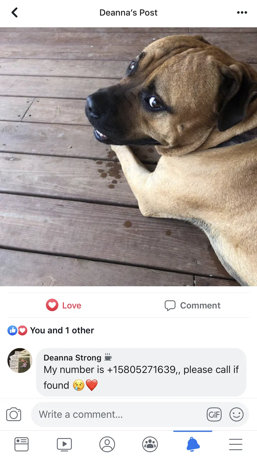 Lost dog in Seminole, OK, 74868