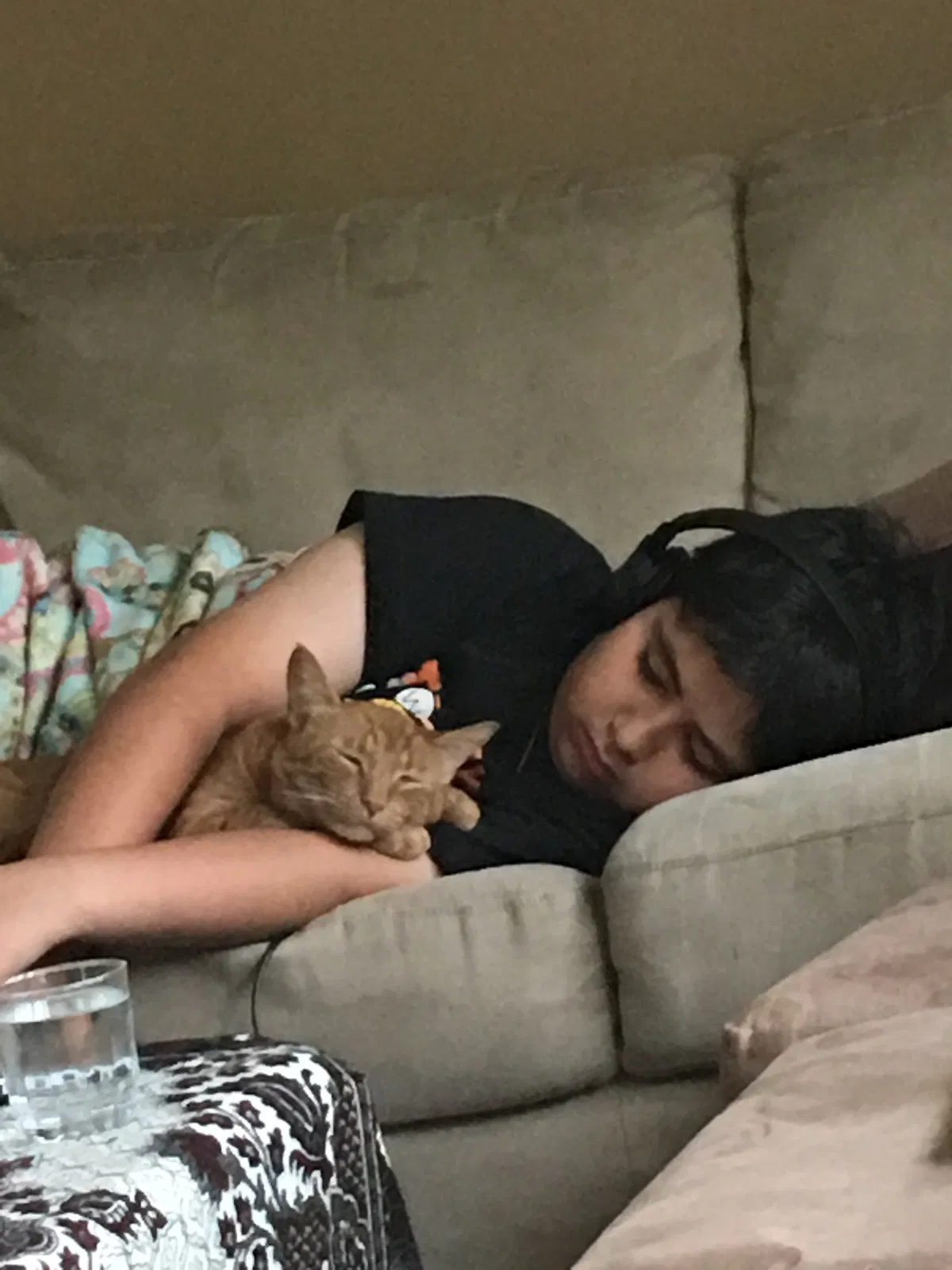 Lost cat in Unknown, WY, 0