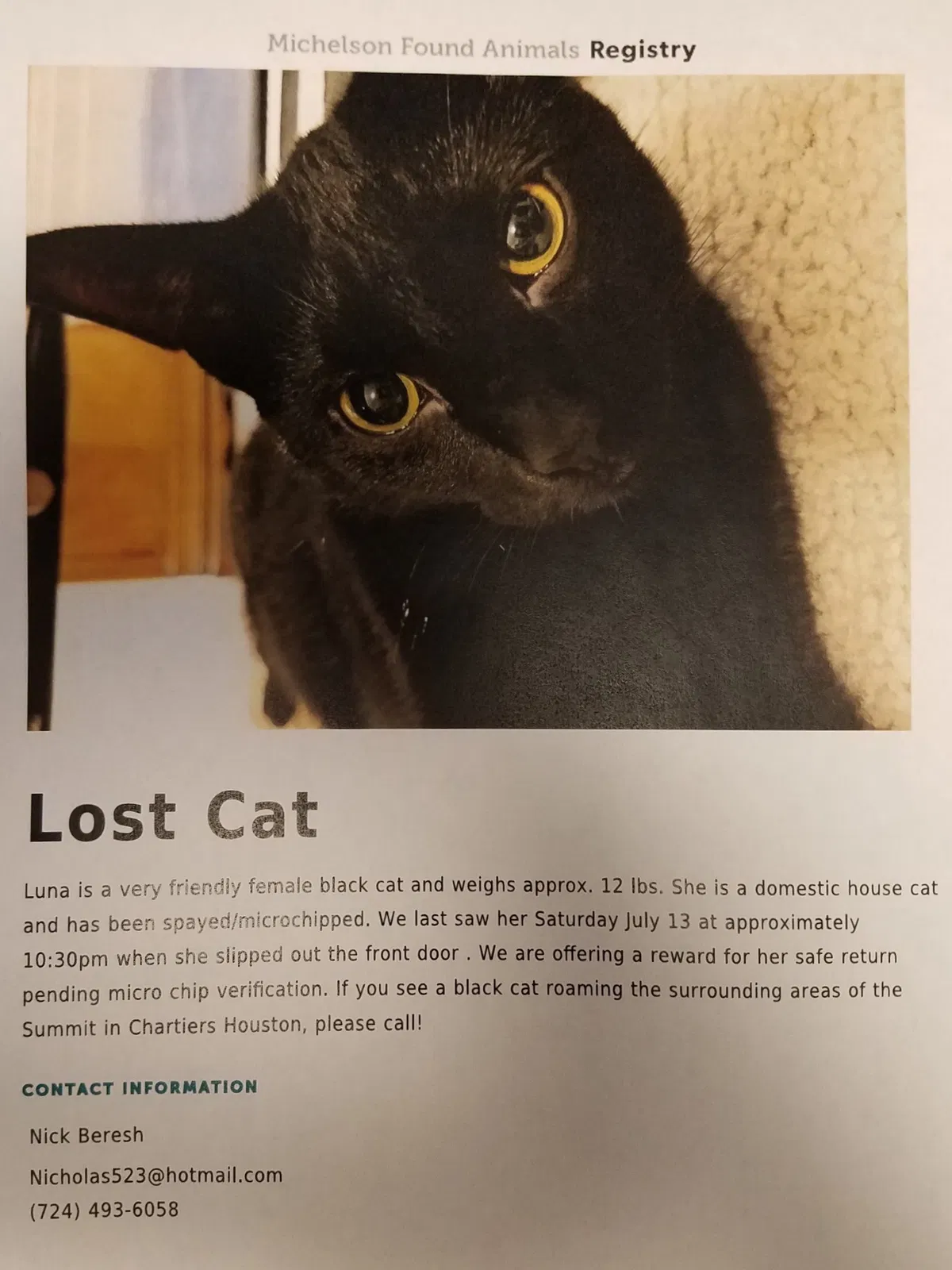 Lost cat in Houston, PA, 15342