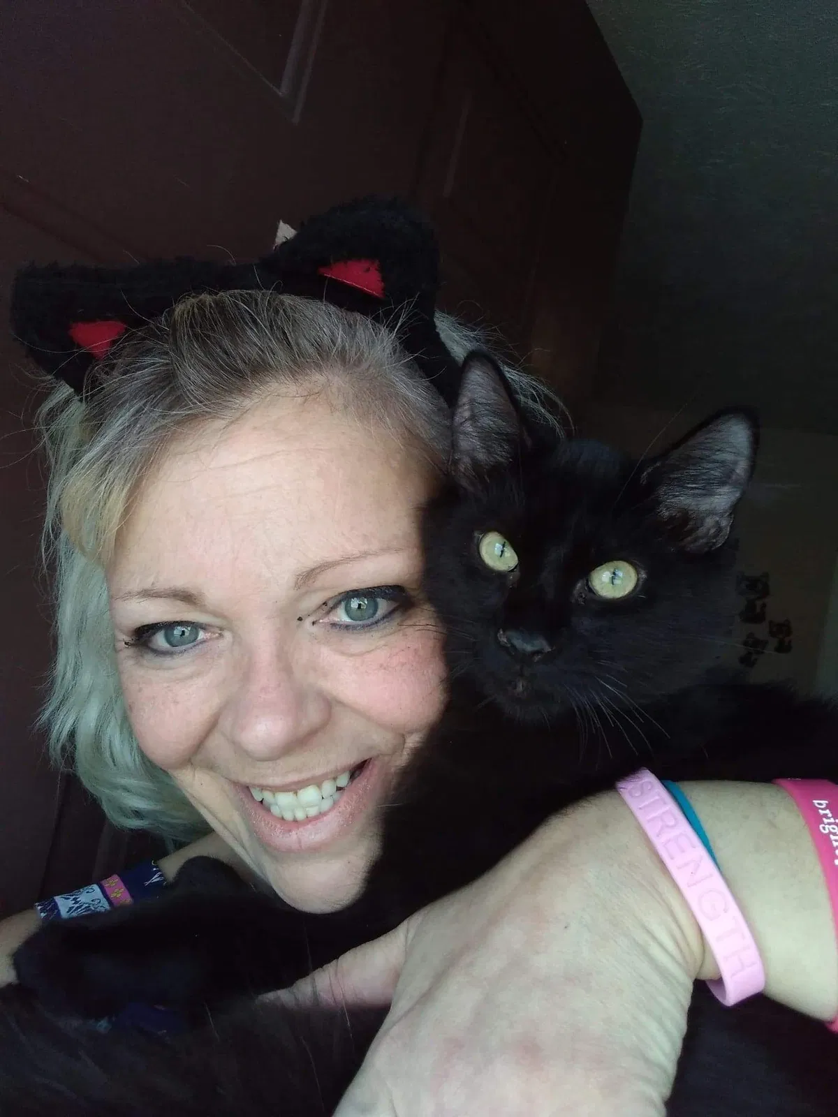 Lost cat in Clinton, TN, 37716