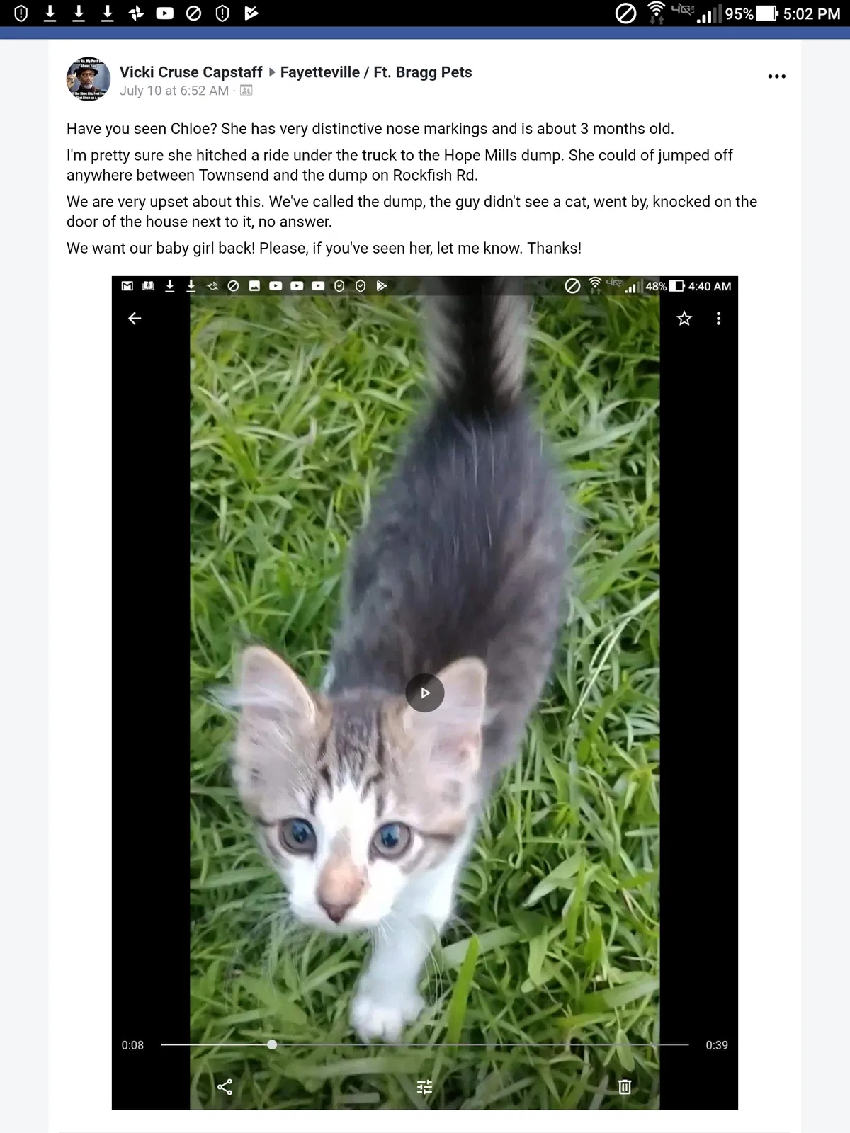 Lost cat in Fayetteville, NC, 28314