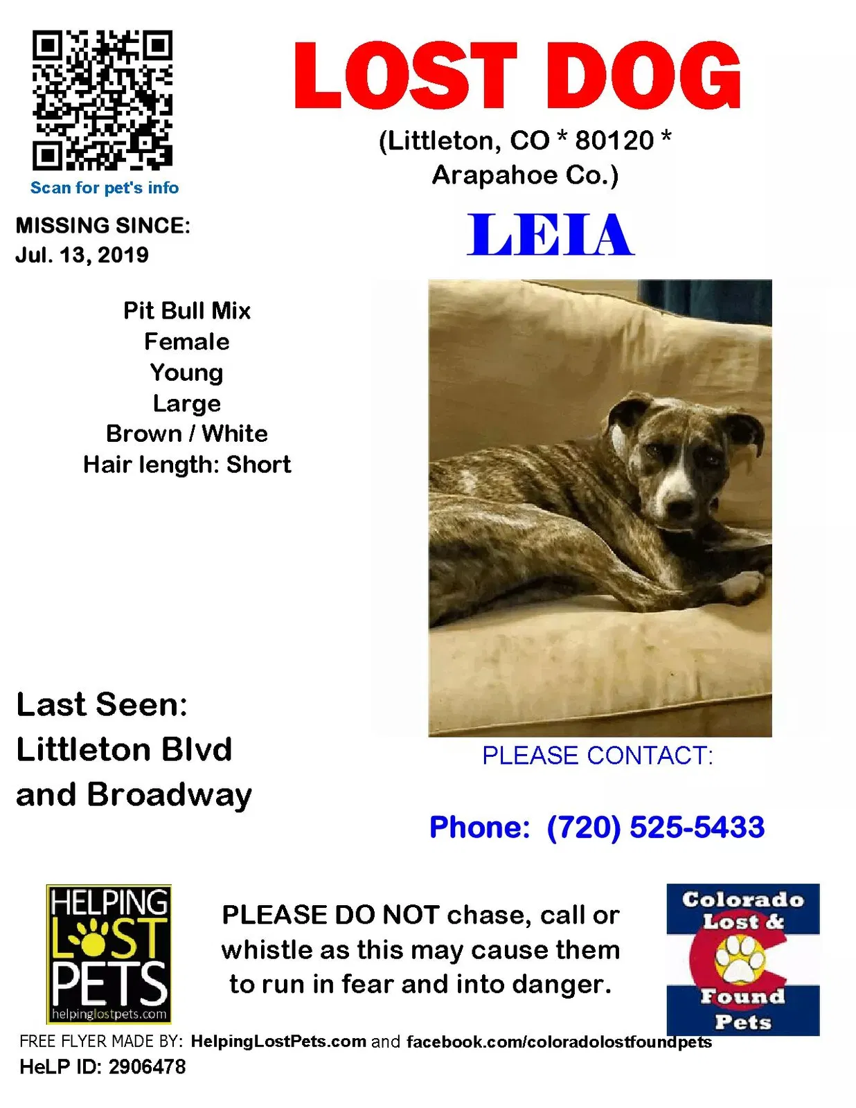 Lost dog in Littleton, CO, 80120
