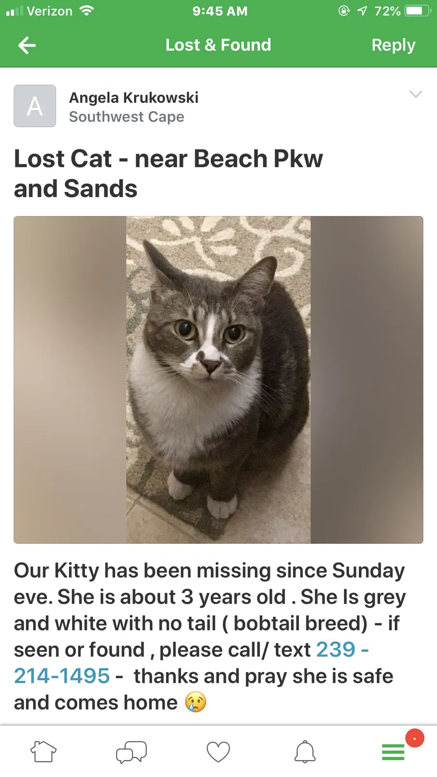 Lost cat in Cape Coral, FL, 33914