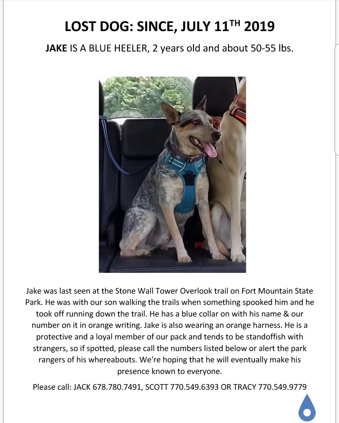 Lost dog in Chatsworth, GA, 30705