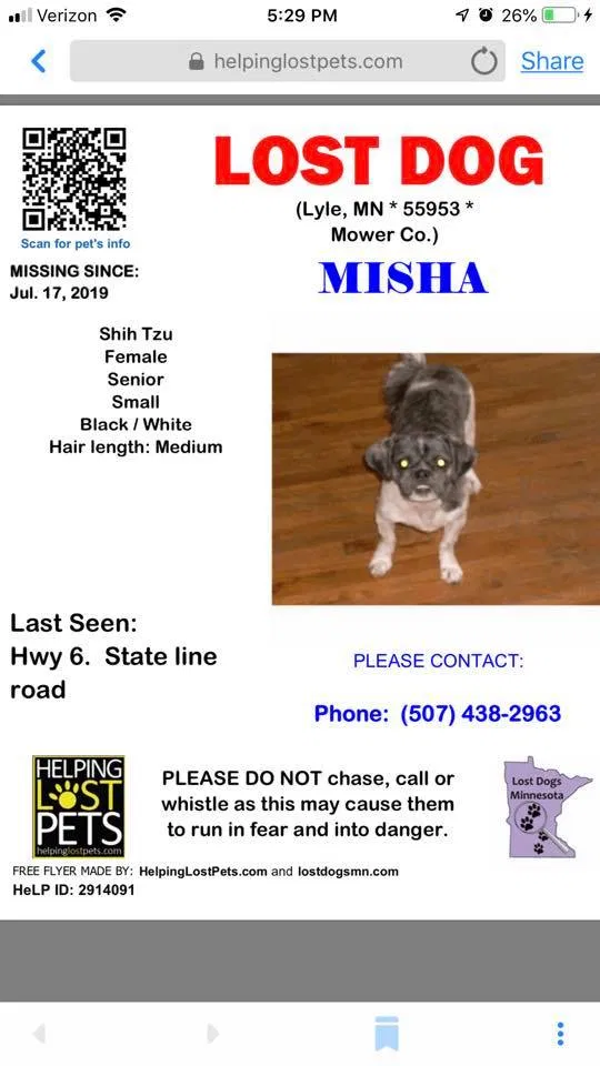 Lost dog in Lyle, MN, 55953