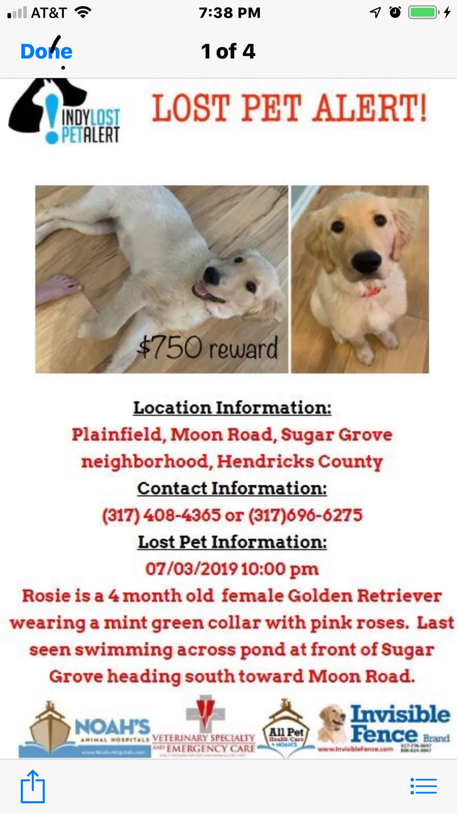Lost dog in Plainfield, IN, 46168