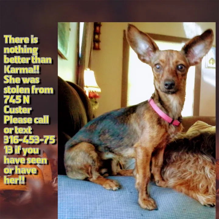 Lost dog in Wichita, KS, 67203