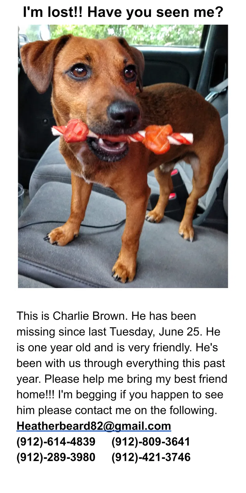 Lost dog in Waycross, GA, 31503