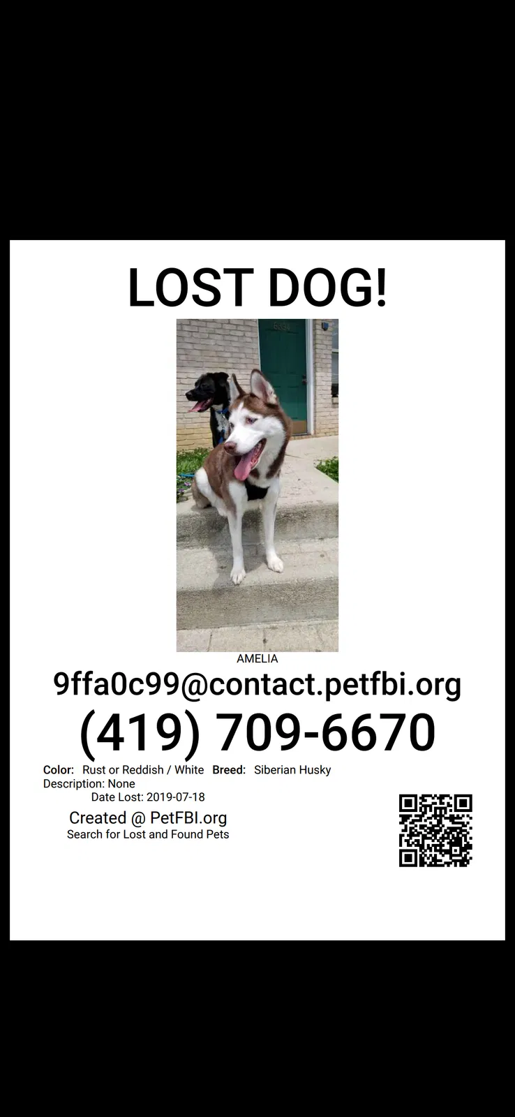 Lost dog in Reynoldsburg, OH, 43068