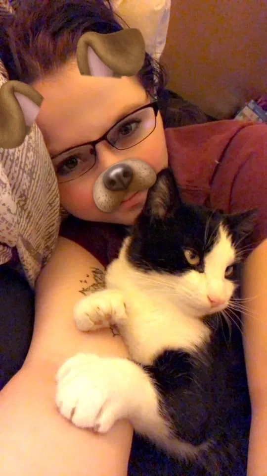 Lost cat in Idaho Falls, ID, 83404