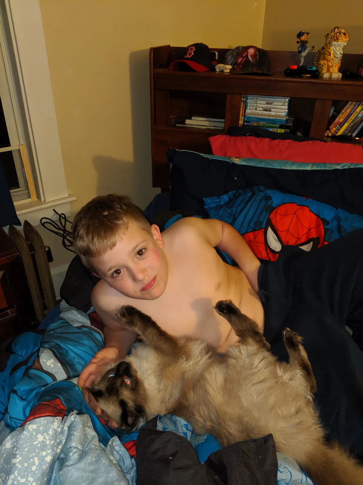 Lost cat in Worcester, MA, 1605