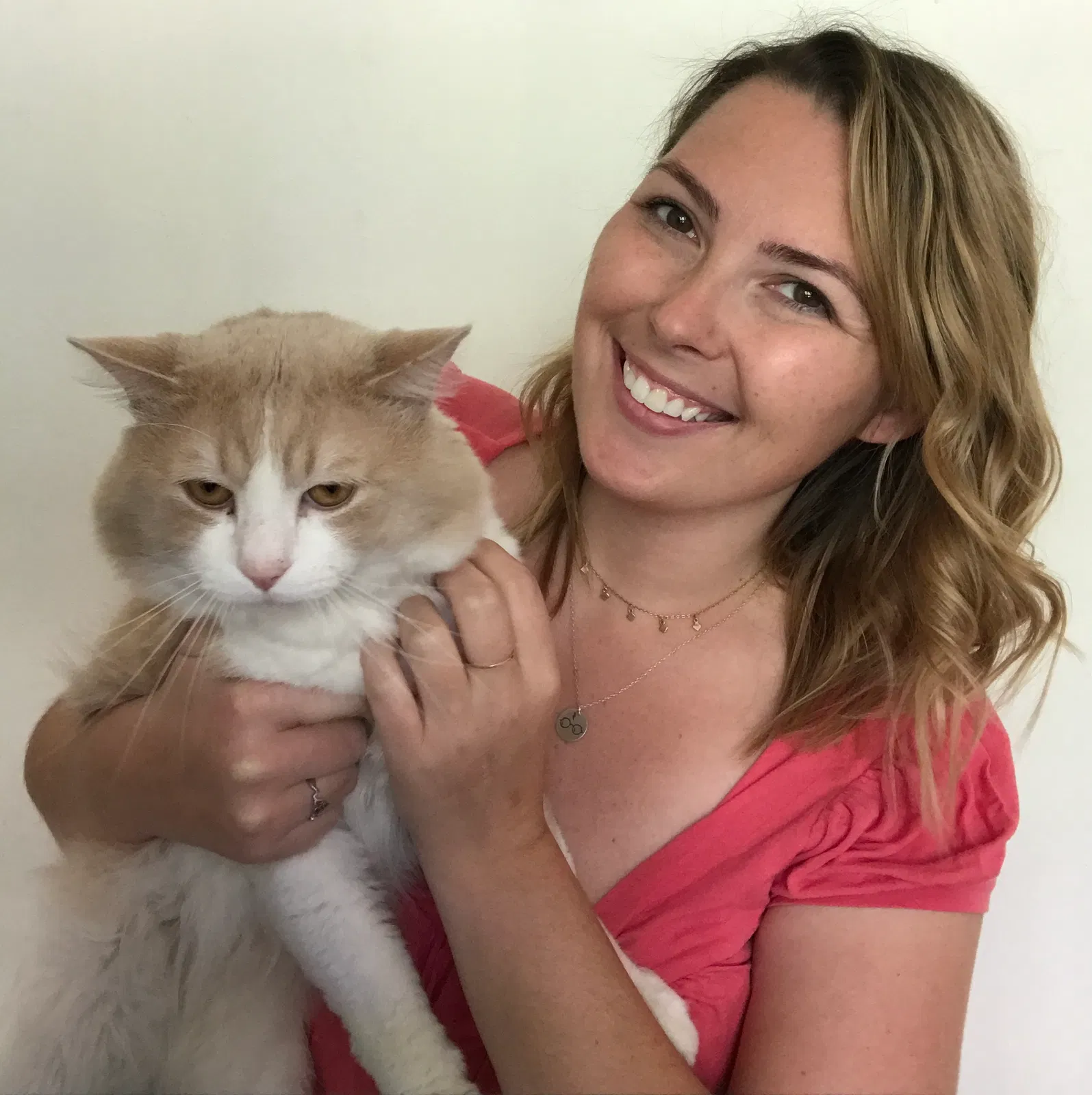 Lost cat in Sierra Madre, CA, 91024