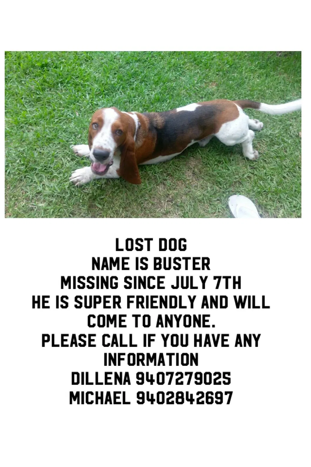 Lost dog in Muenster, TX, 76252