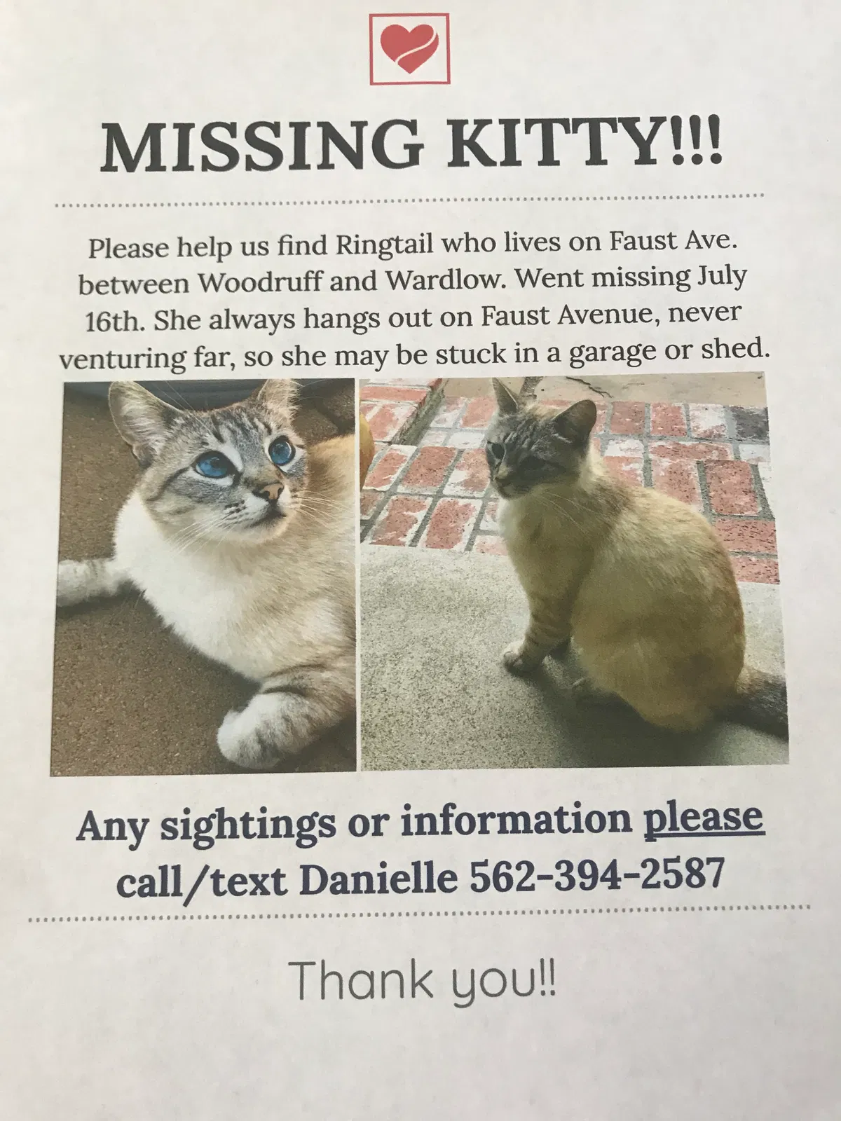 Lost cat in Long Beach, CA, 90808