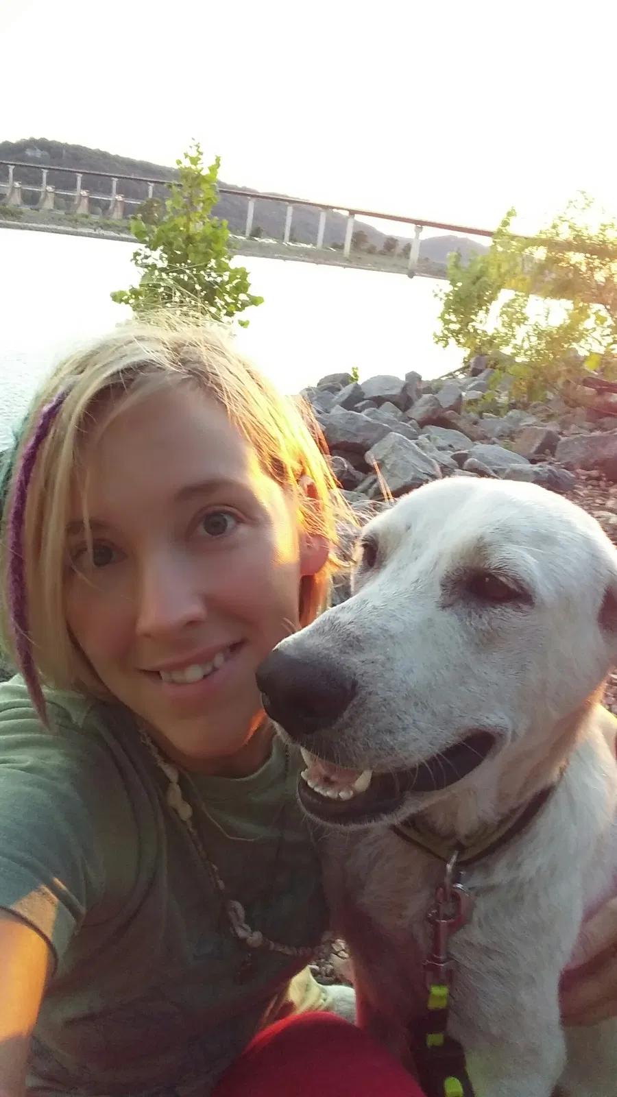 Lost dog in Maumelle, AR, 72113