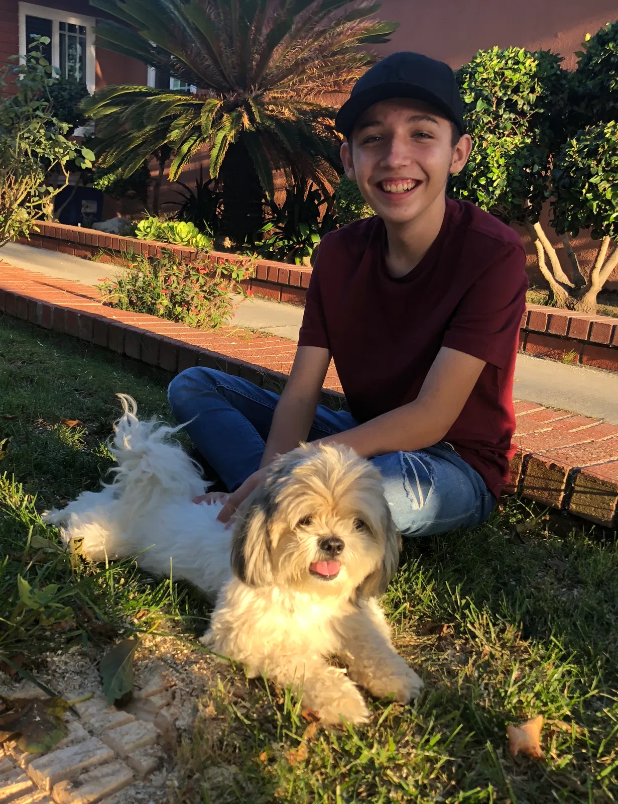 Lost dog in Santa Ana, CA, 92704