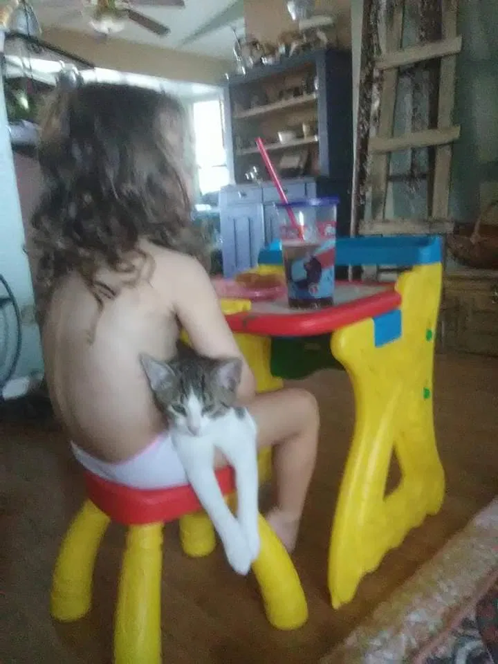 Lost cat in Lehigh Acres, FL, 33971