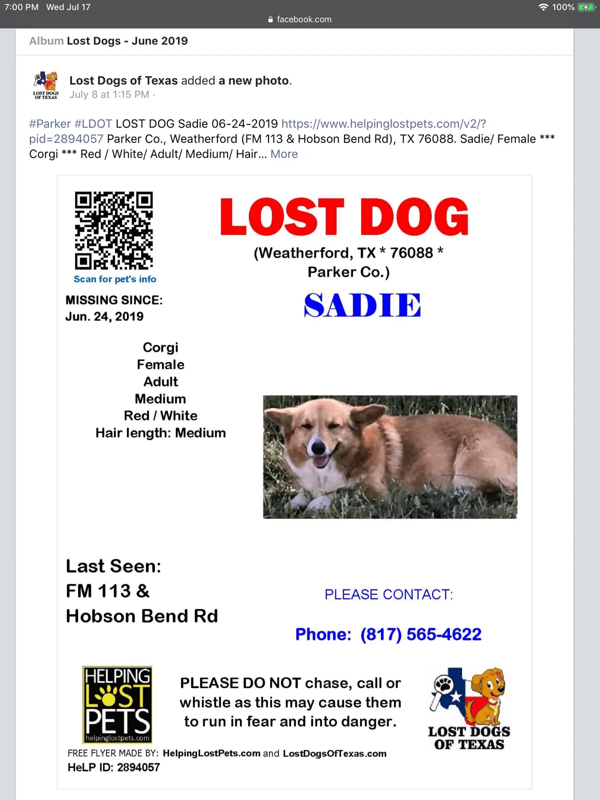 Lost dog in Weatherford, TX, 76088