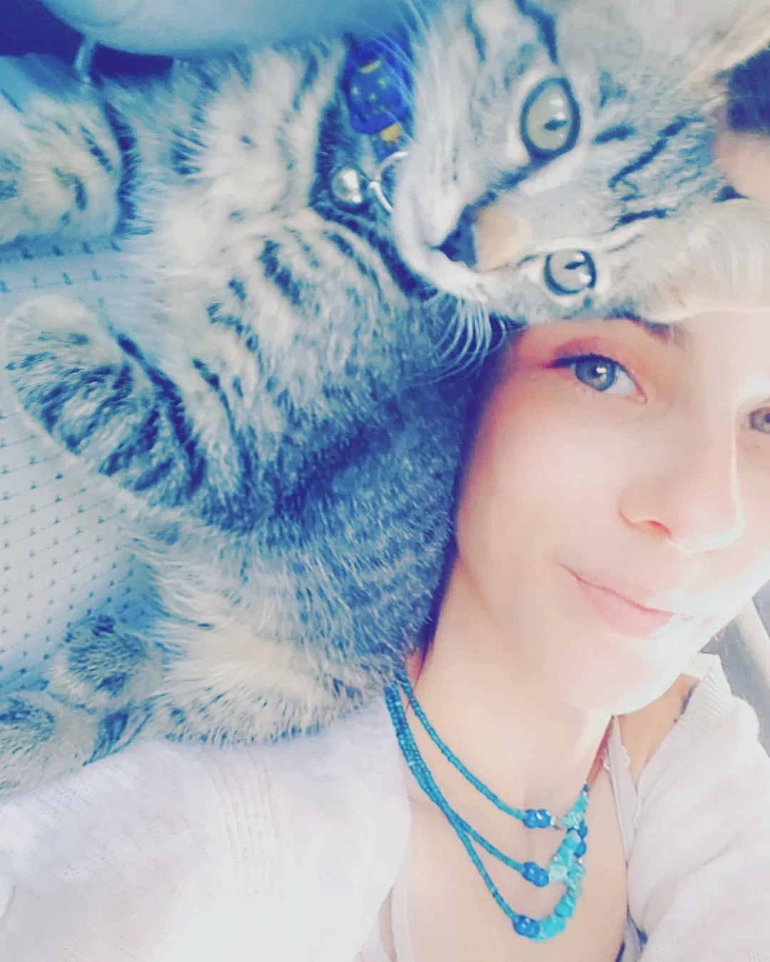 Lost cat in Salem, OR, 97301