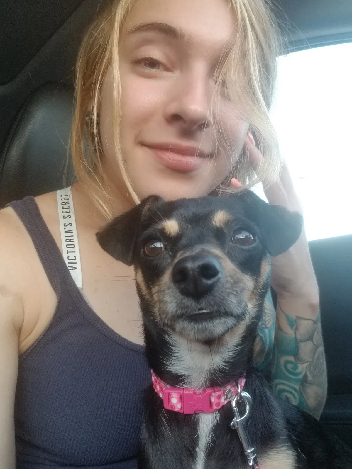 Lost dog in Altadena, CA, 91001