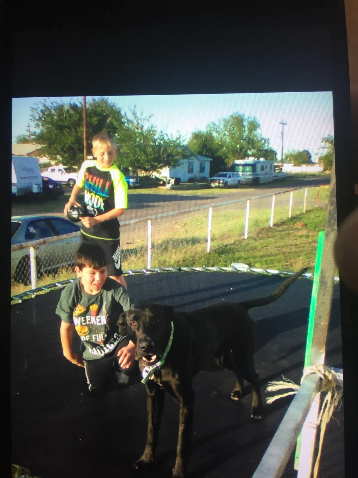 Lost dog in Grove, OK, 74344
