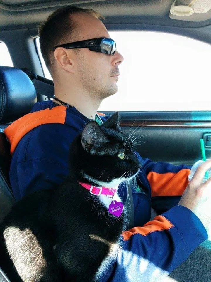 Lost cat in Phenix City, AL, 36870