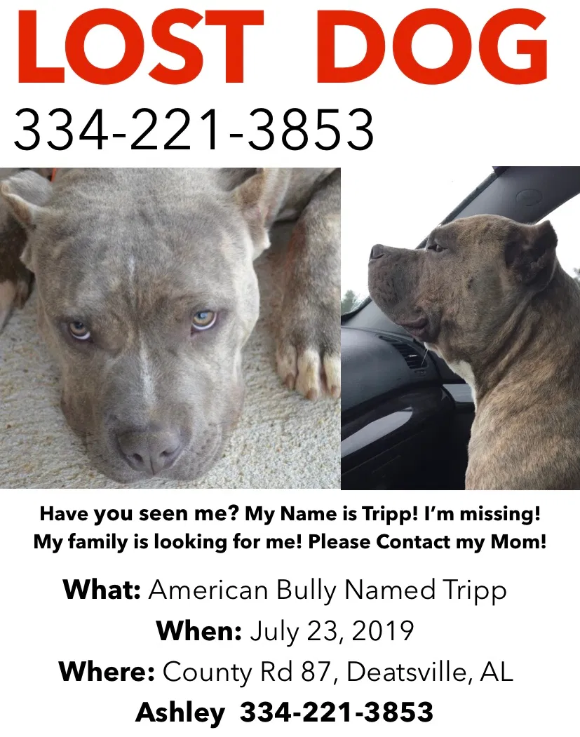 Lost dog in Deatsville, AL, 36022
