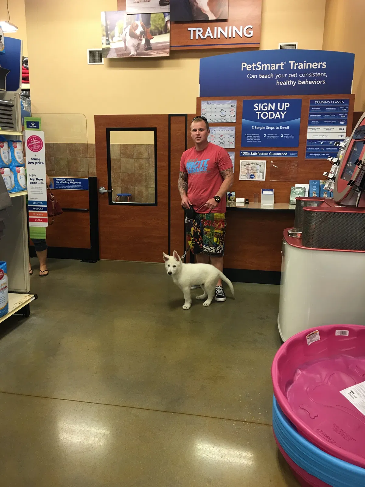 Lost dog in Tampa, FL, 33612