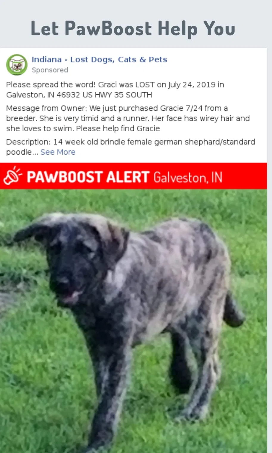 Lost dog in Galveston, IN, 46932