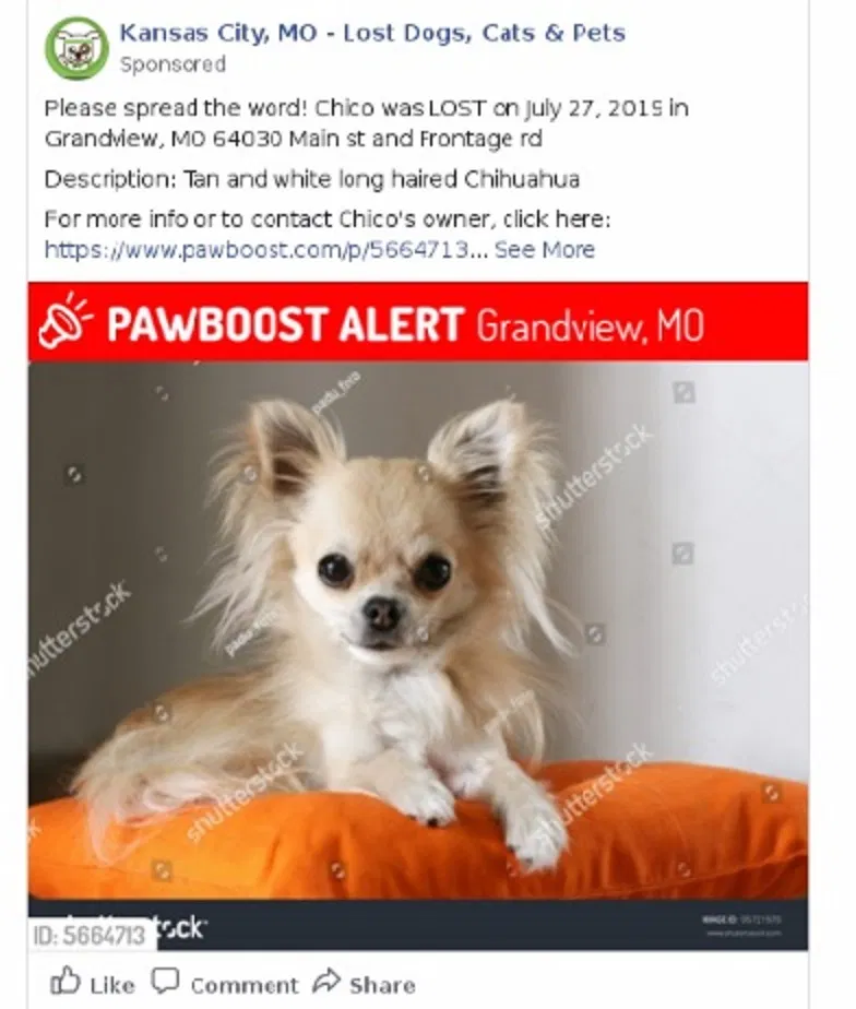 Lost dog in Grandview, MO, 64030