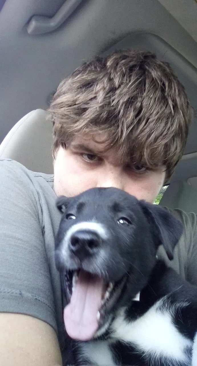Lost dog in Evansville, WY, 82636
