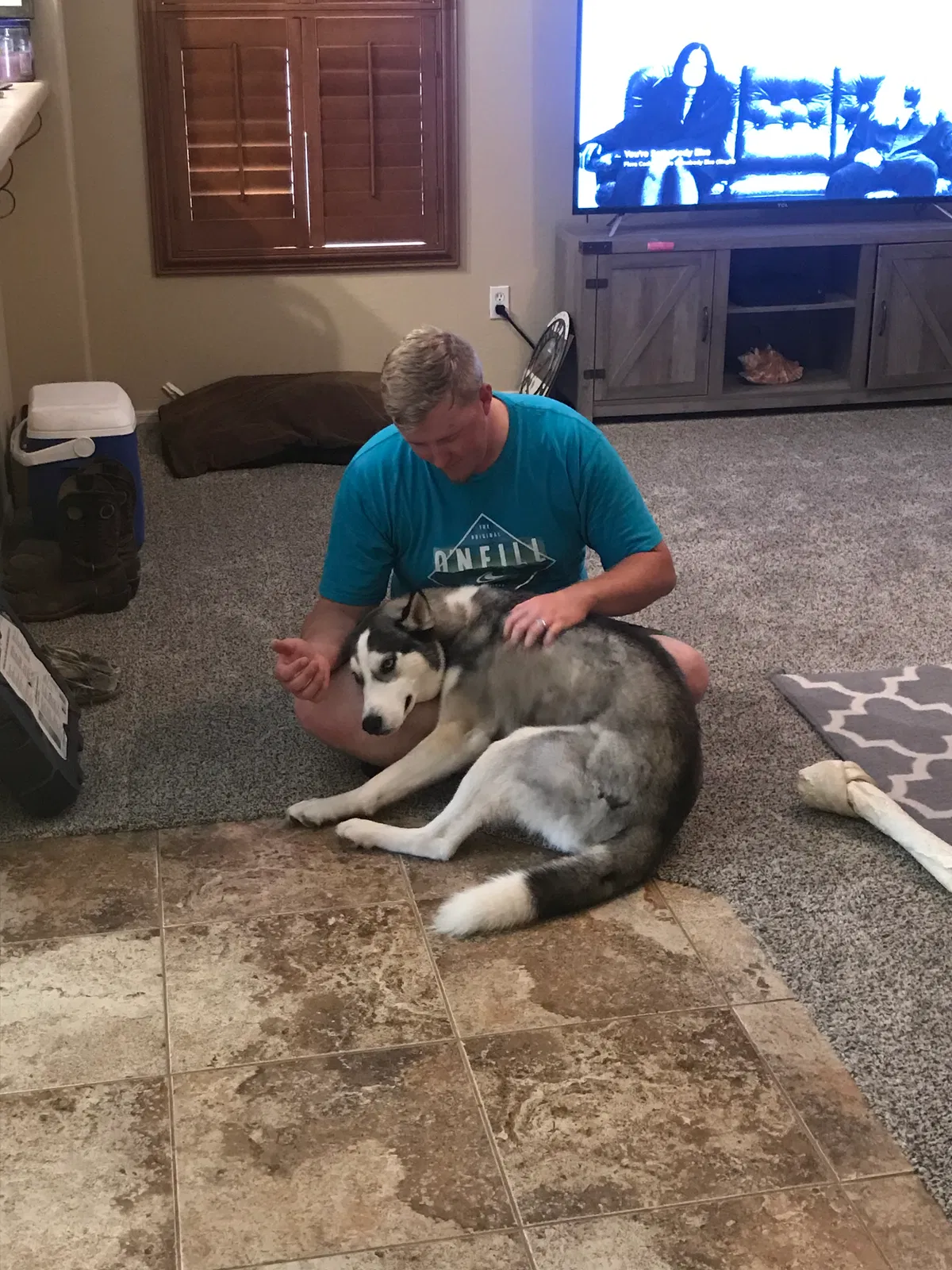 Lost dog in Queen Creek, AZ, 85142
