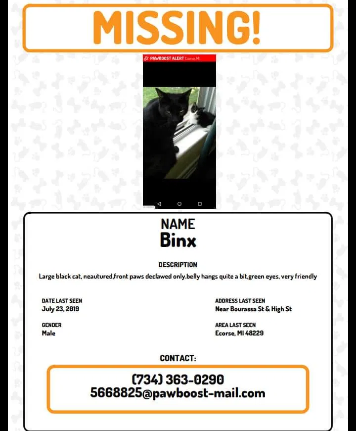 Lost cat in Ecorse, MI, 48229