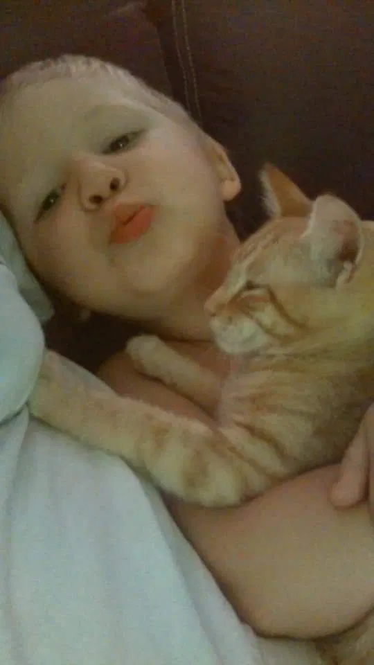 Lost cat in Fort Smith, AR, 72901