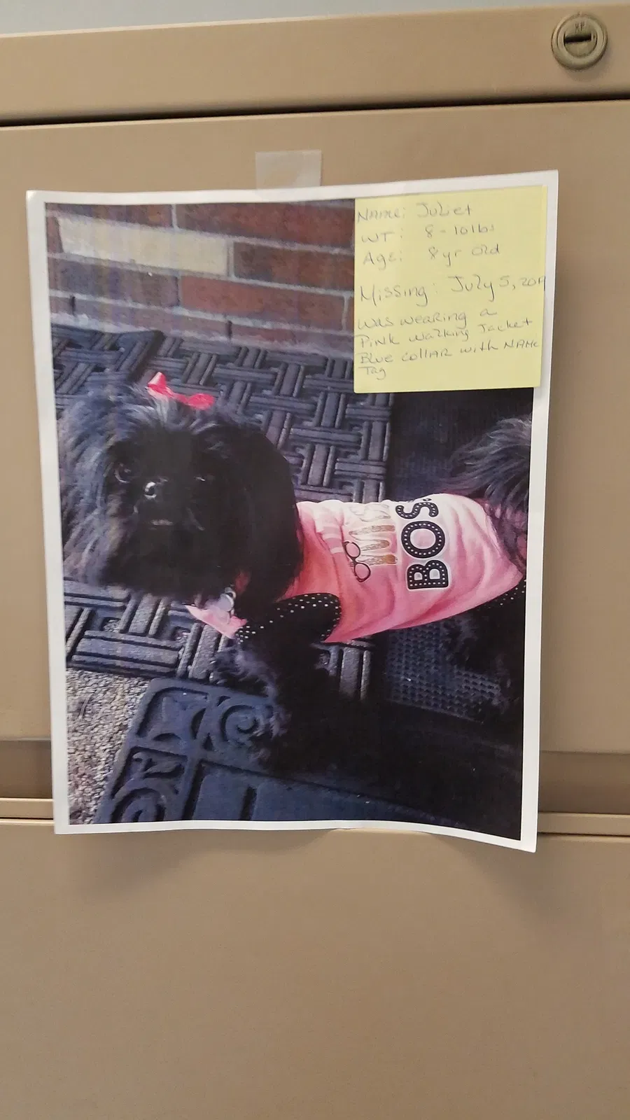 Lost dog in Gary, IN, 46408