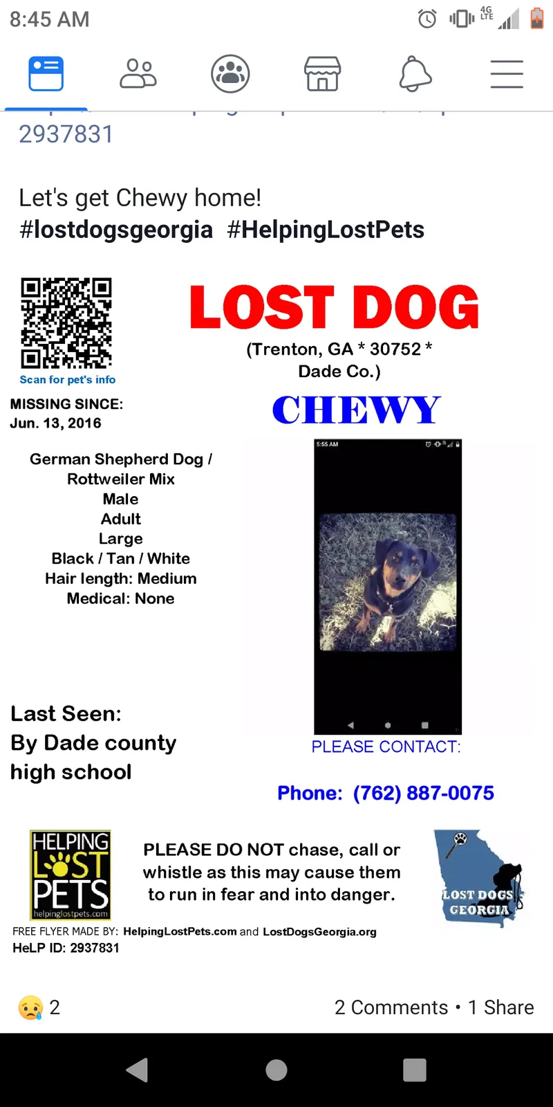 Lost dog in Trenton, GA, 30752