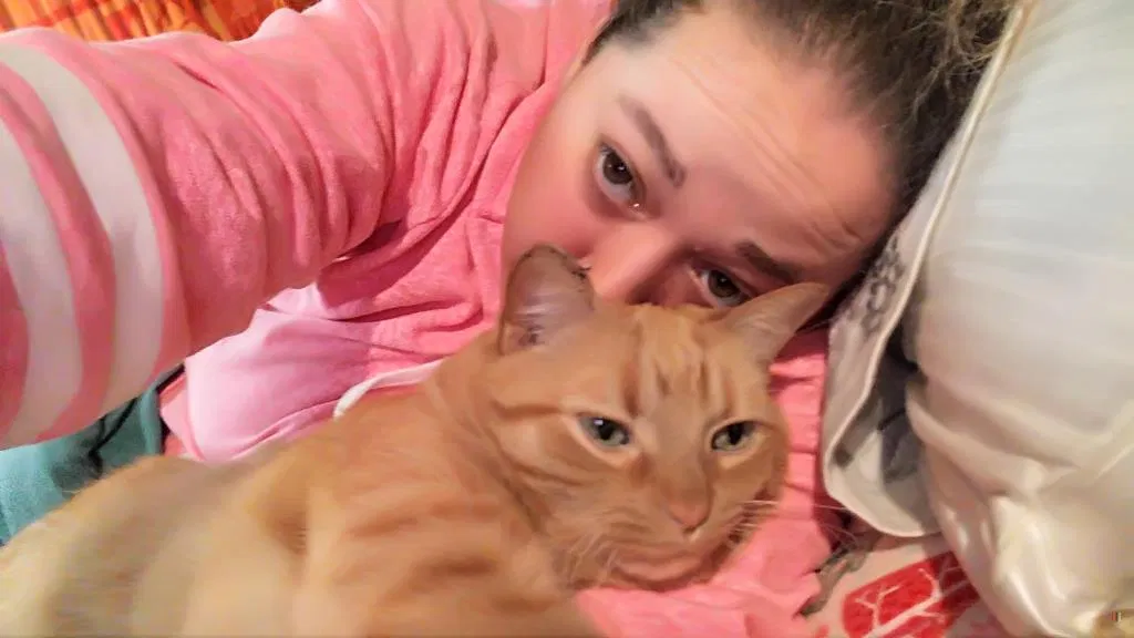 Lost cat in Madison, WI, 53704