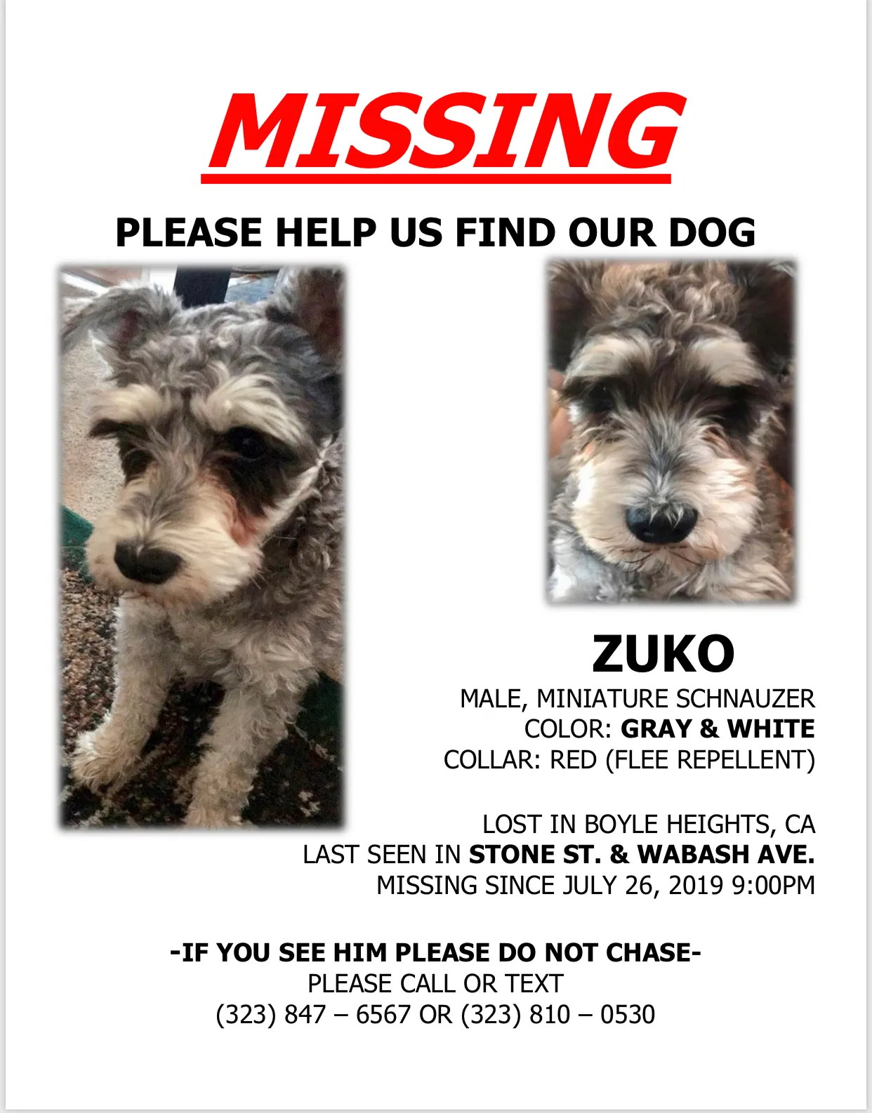 Lost dog in Los Angeles, CA, 90063