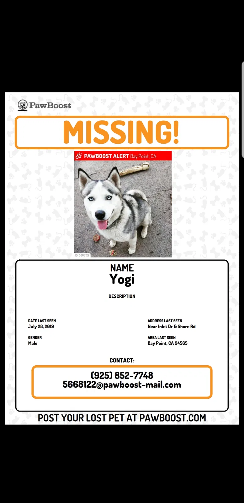 Lost dog in Pittsburg, CA, 94565