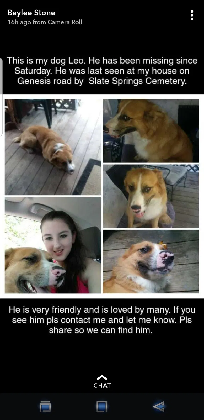 Lost dog in Crossville, TN, 38571