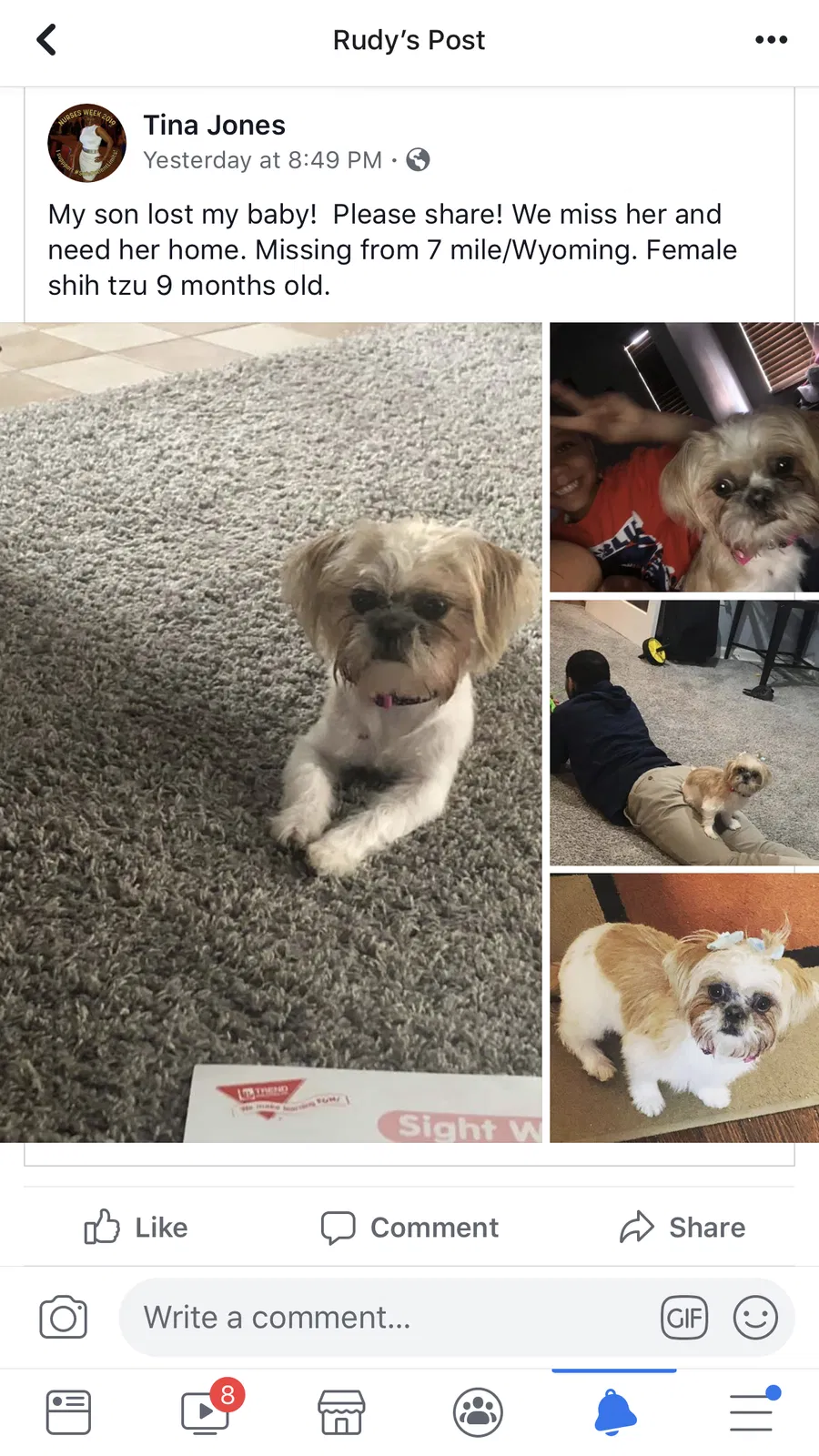 Lost dog in Detroit, MI, 48221