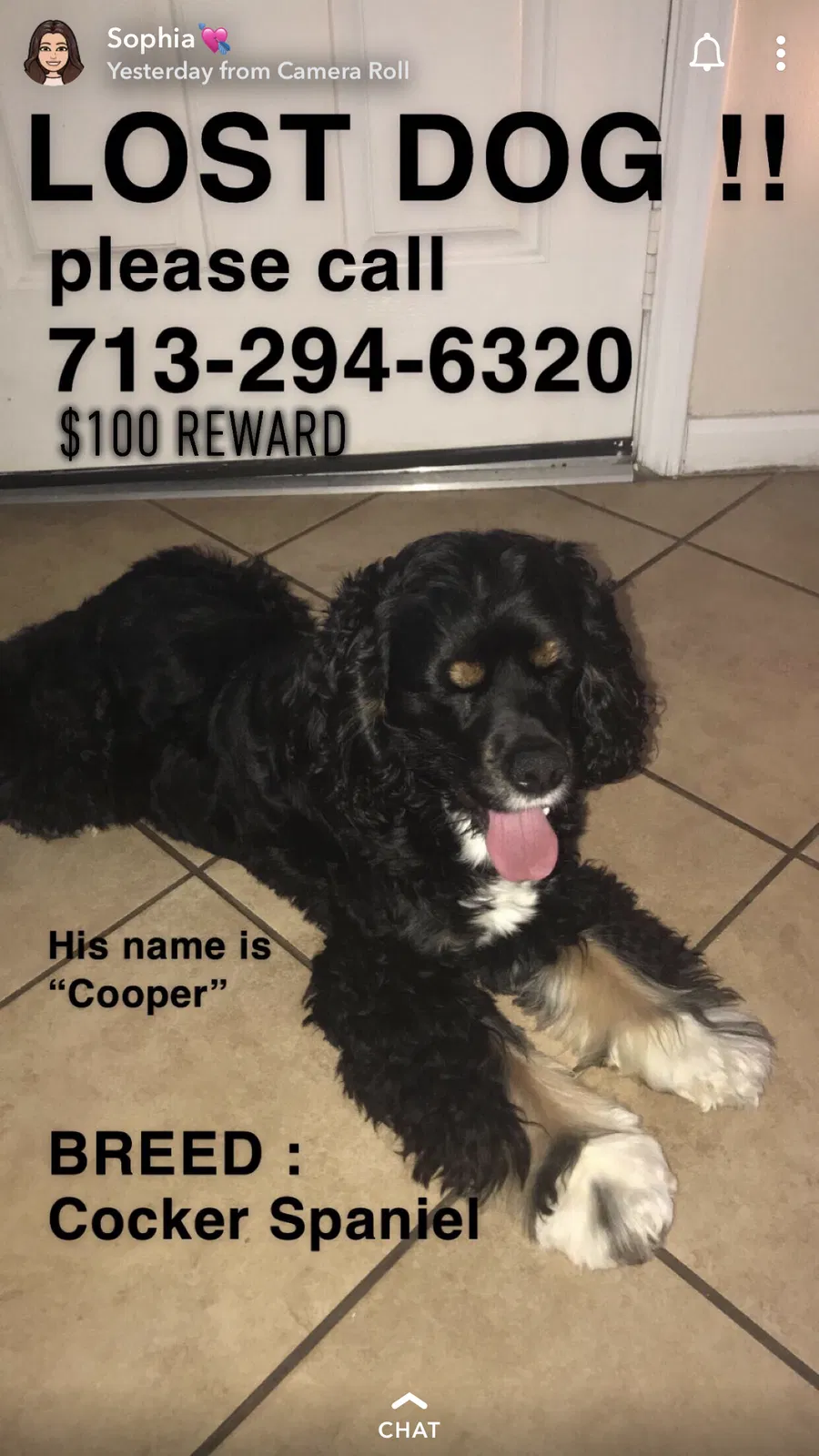 Lost dog in Humble, TX, 77346