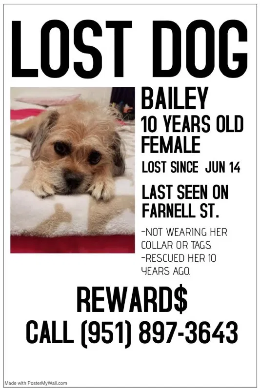 Lost dog in Baldwin Park, CA, 91706