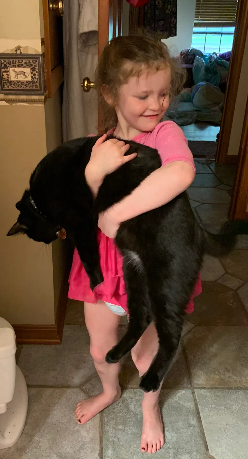 Lost cat in Ponchatoula, LA, 70454