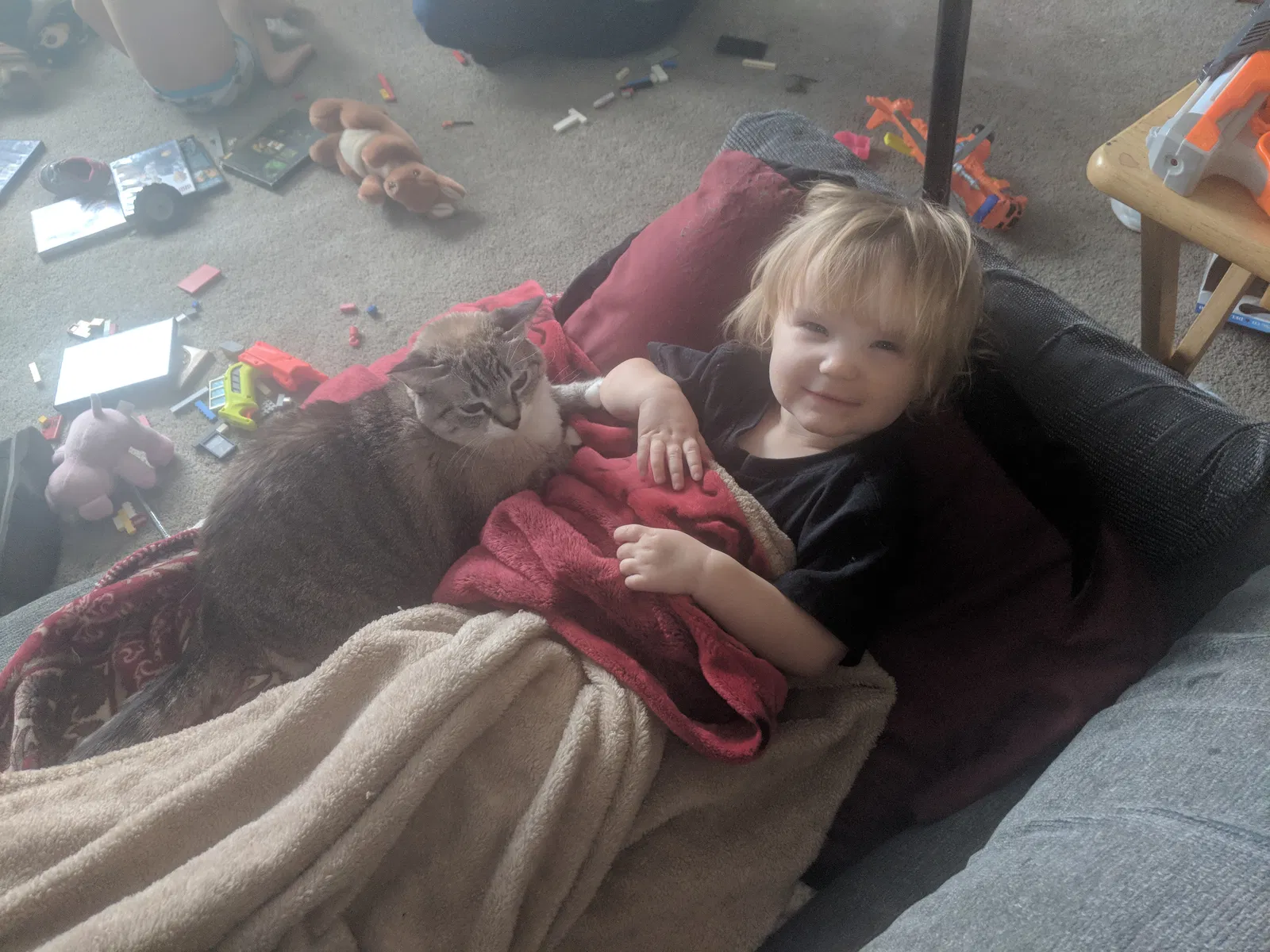 Lost cat in Broomfield, CO, 80021