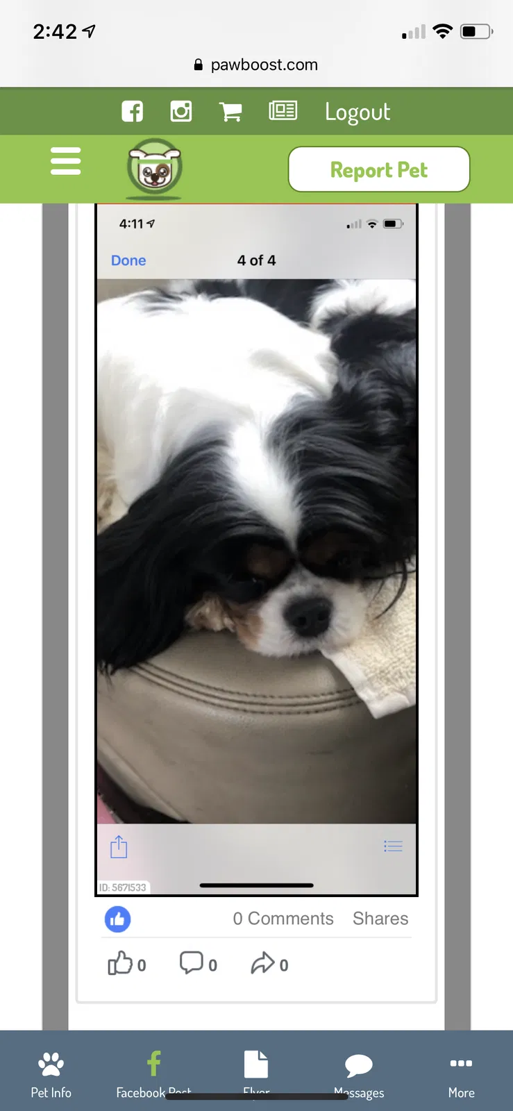 Lost dog in Unknown, MN, 55034