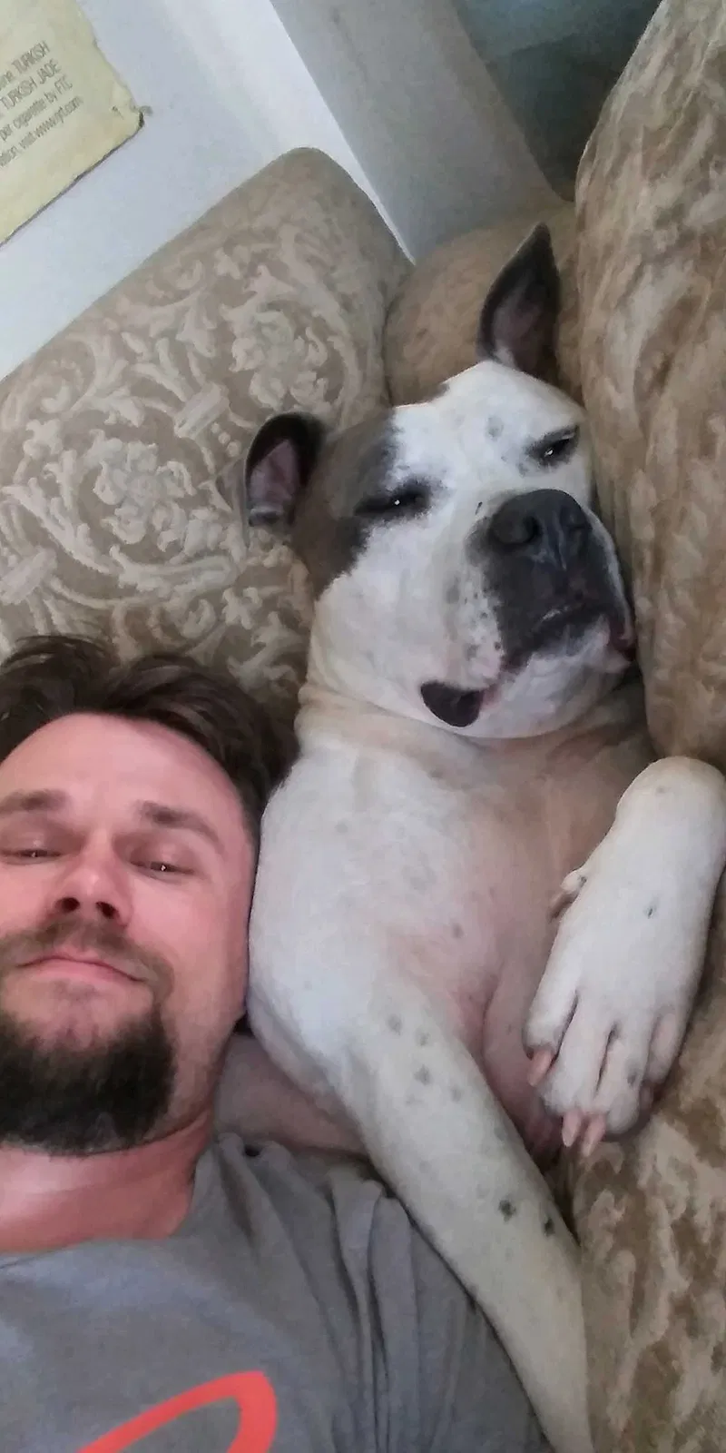 Lost dog in Oklahoma City, OK, 73127