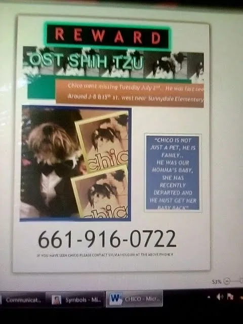 Lost dog in Lancaster, CA, 93534
