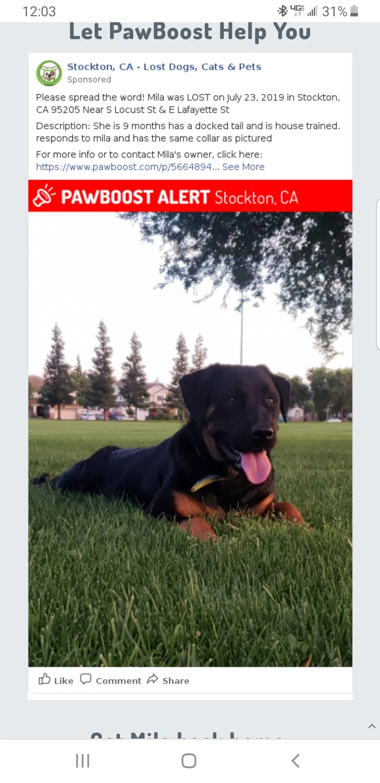 Lost dog in Stockton, CA, 95205