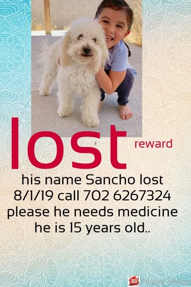 Lost dog in North Las Vegas, NV, 89030